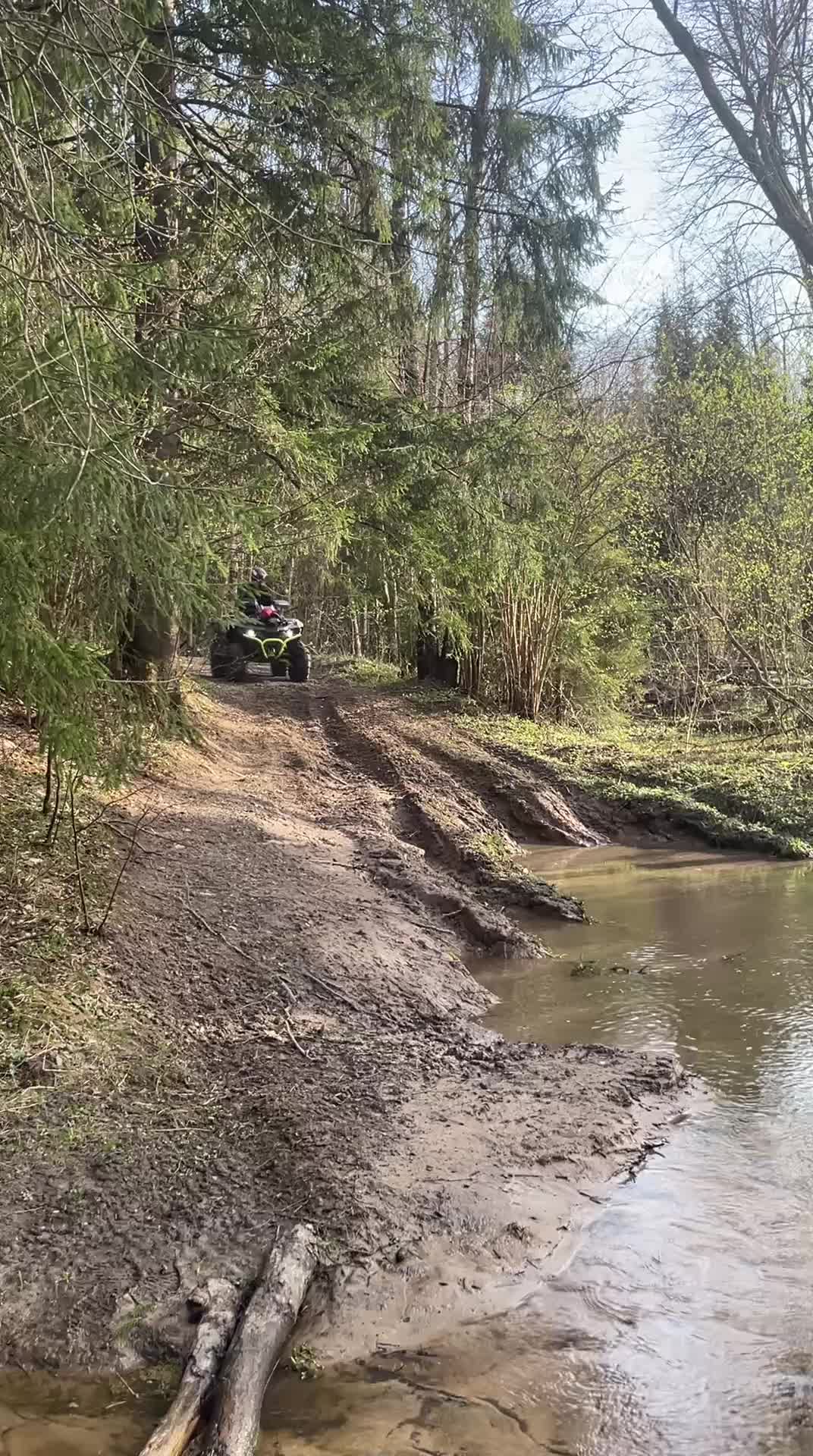 @Николай Гепардович