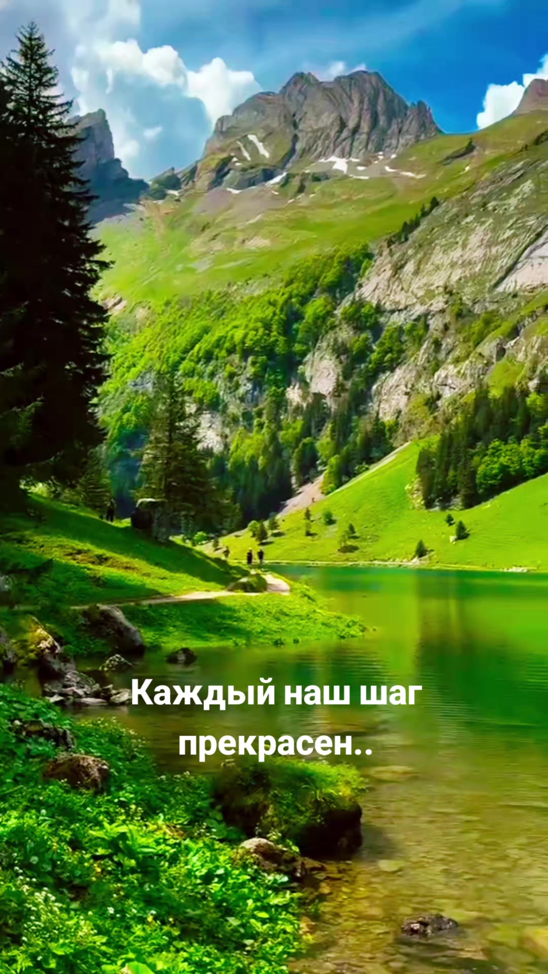@Мила Телец.