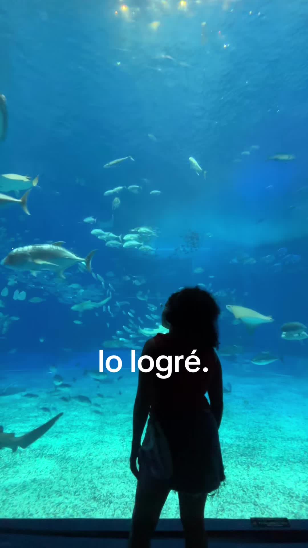 @jei ☆