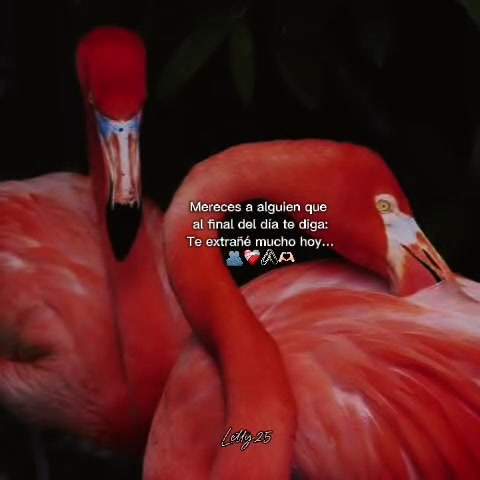 @🍒𝓬𝓮𝓻𝓮𝓬𝓲𝓽𝓪 𝓶𝓸𝓻&rsquo;𝓼🍒