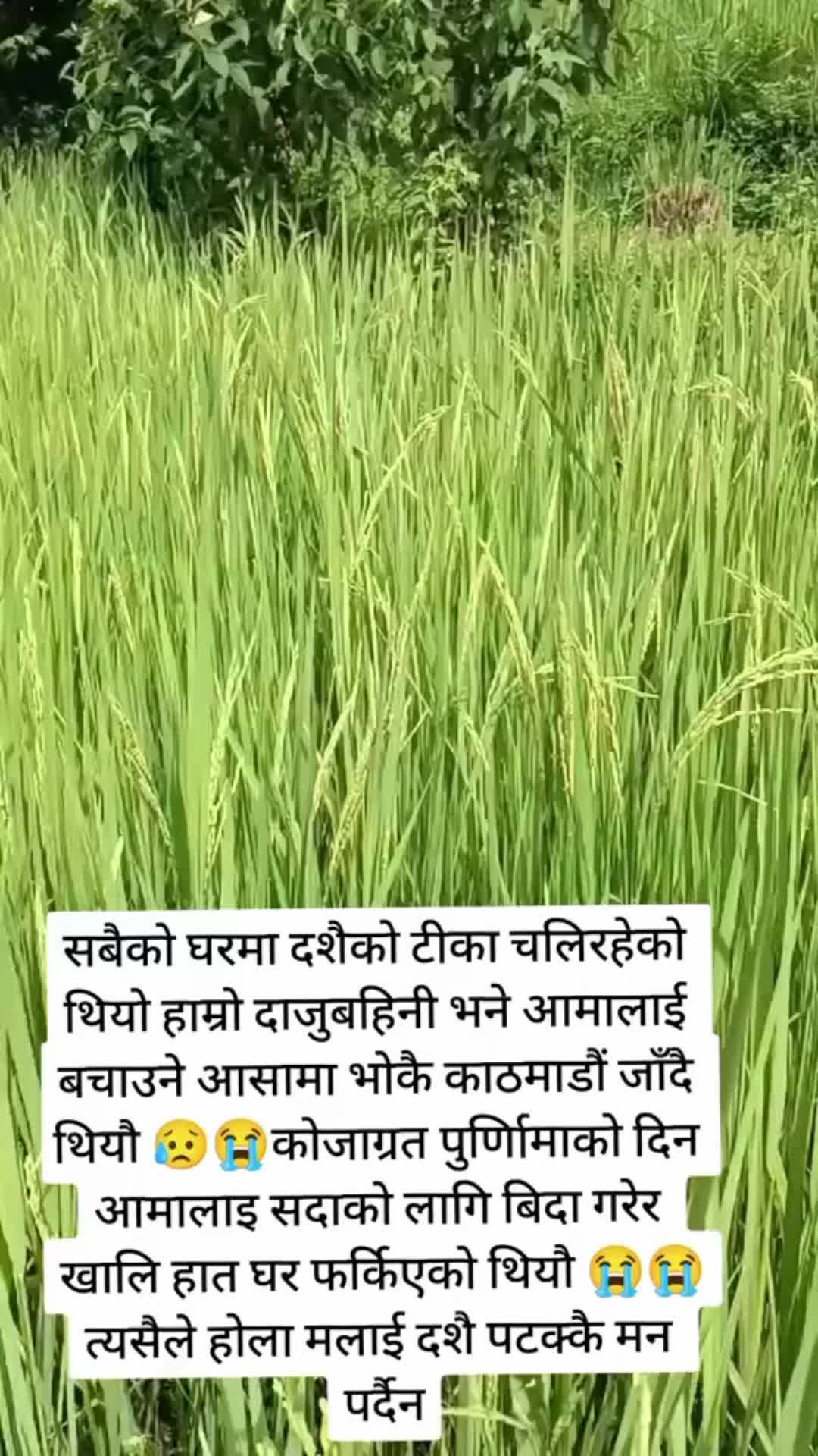 @samjhana🇳🇵🫶🇺🇸