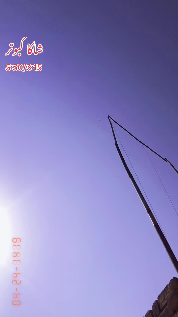 @ʜᴀʀᴏᴏɴ ᴊᴏʏɪᴀ