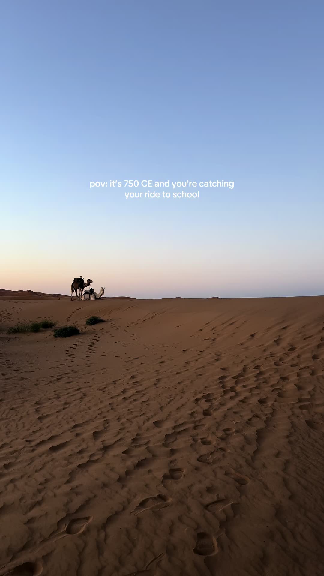 @Noor Travel