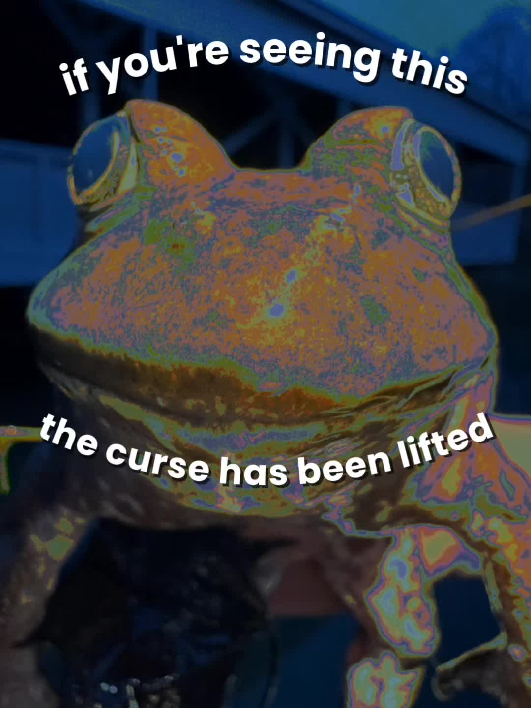 @frogs and autism