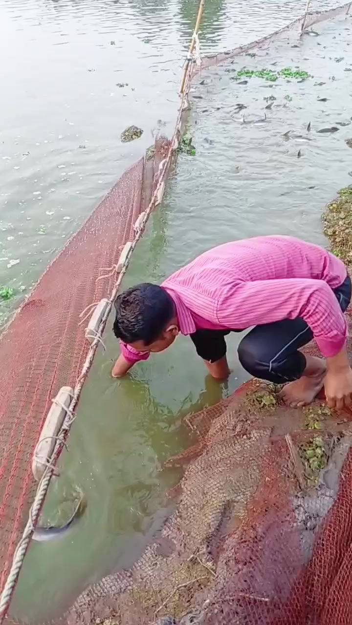 @সুজন মিয়া
