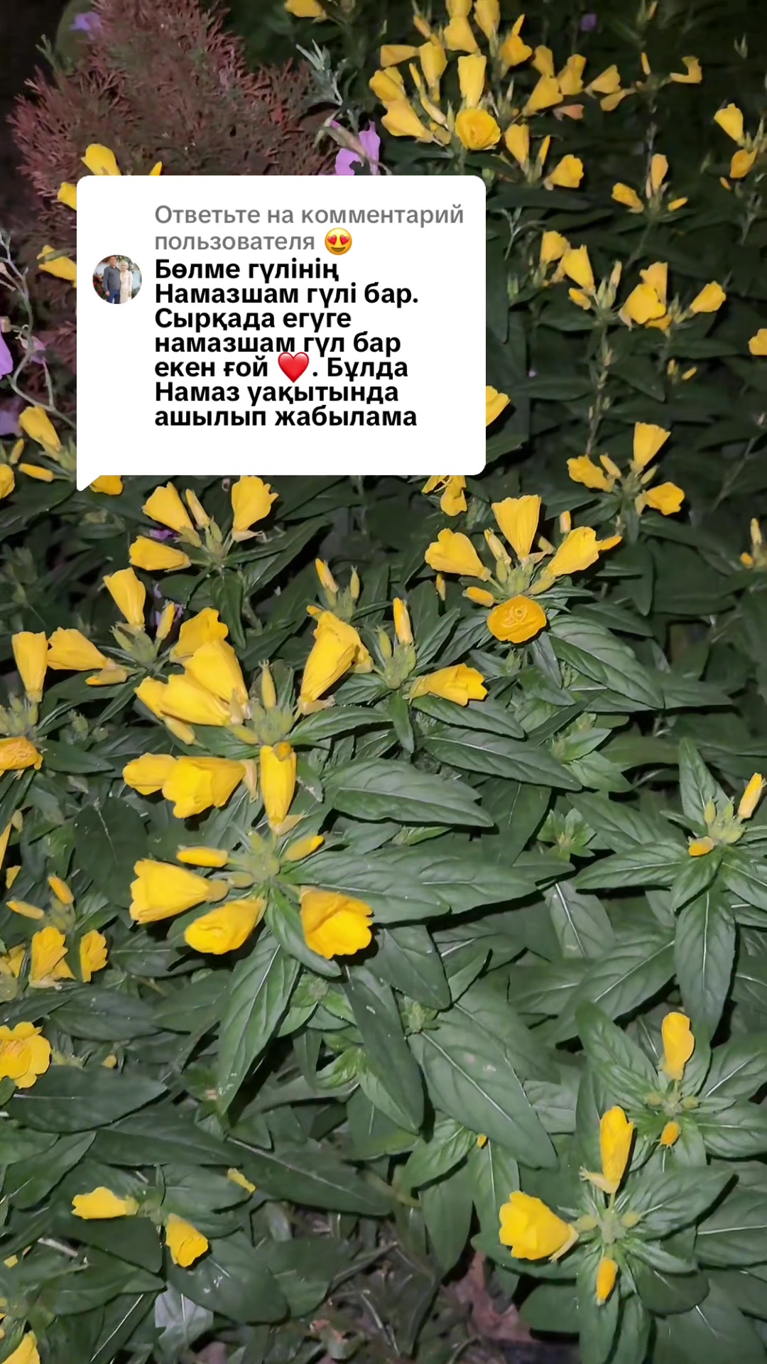@KYMBAT