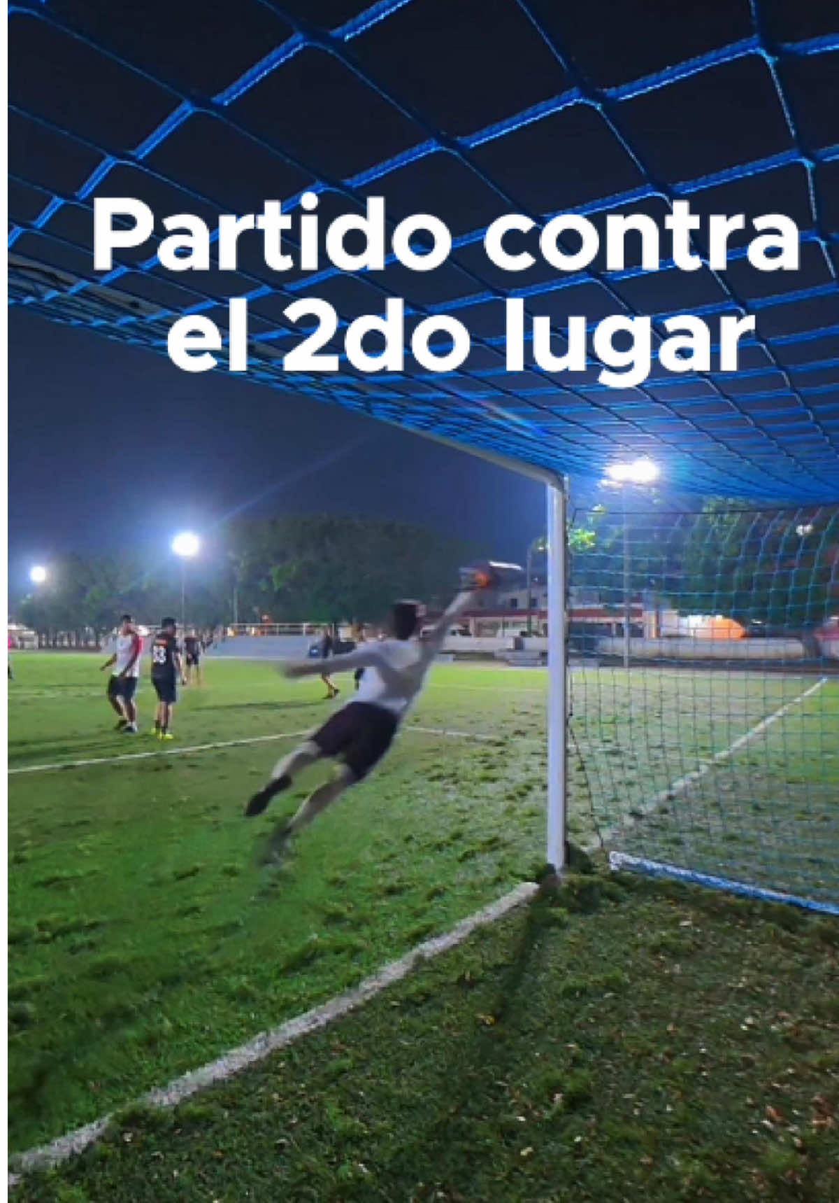 @Araña