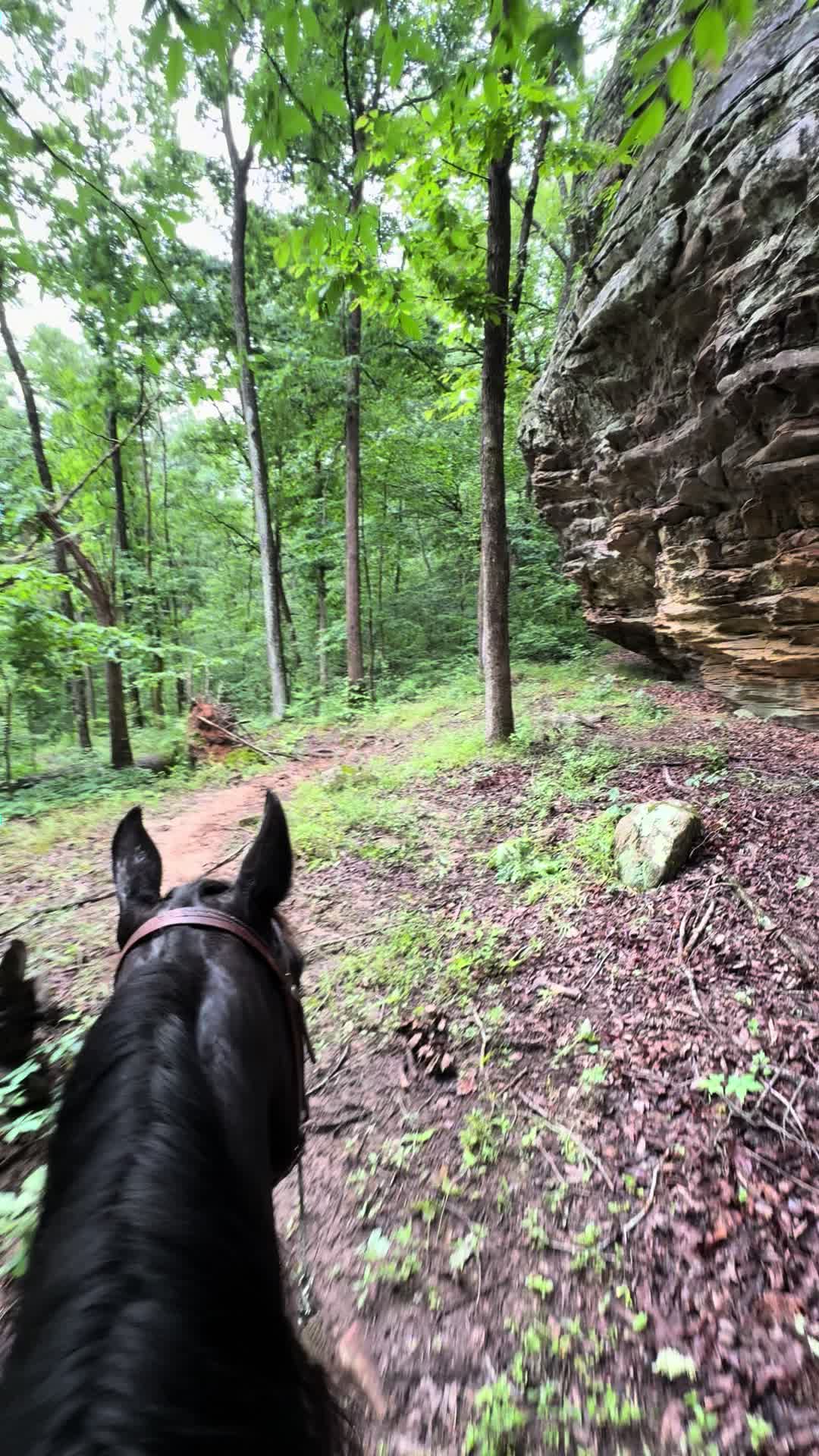 @kentuckyKuntry ❌