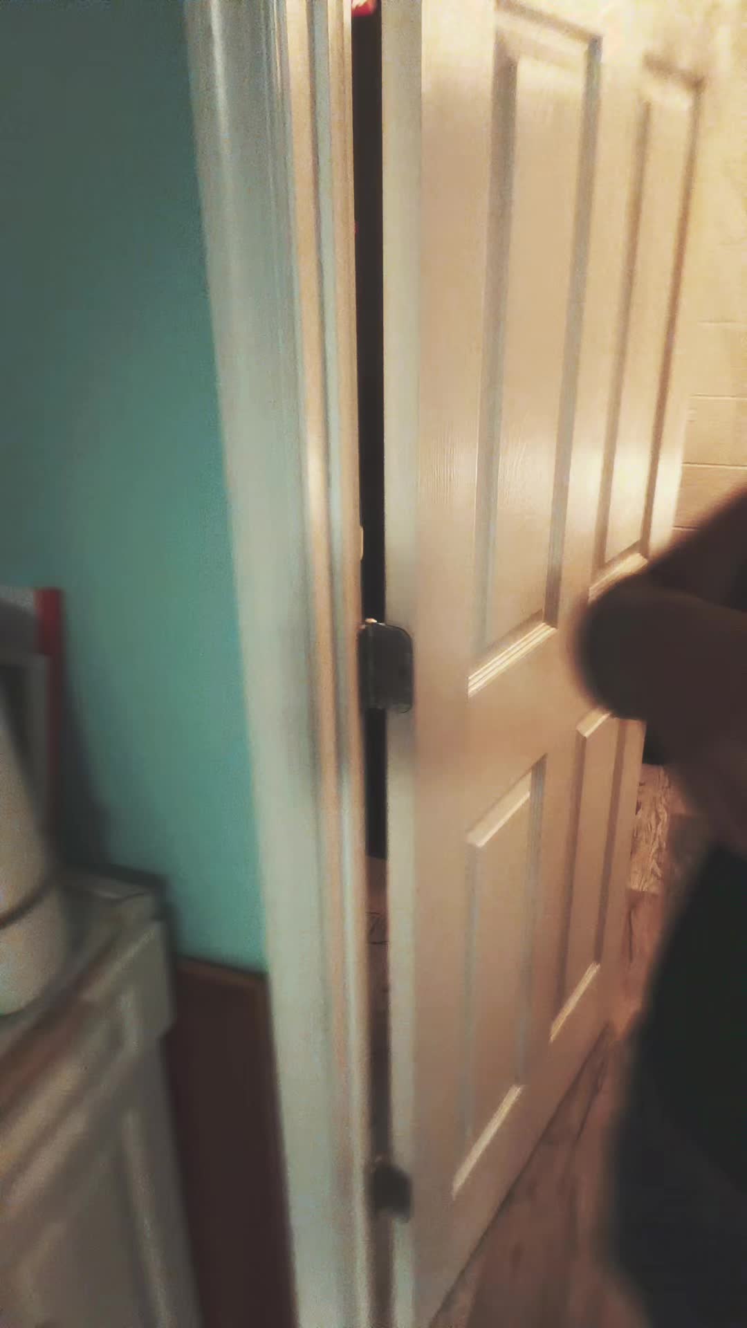 @ₛₐᵥᵢ 🕷️