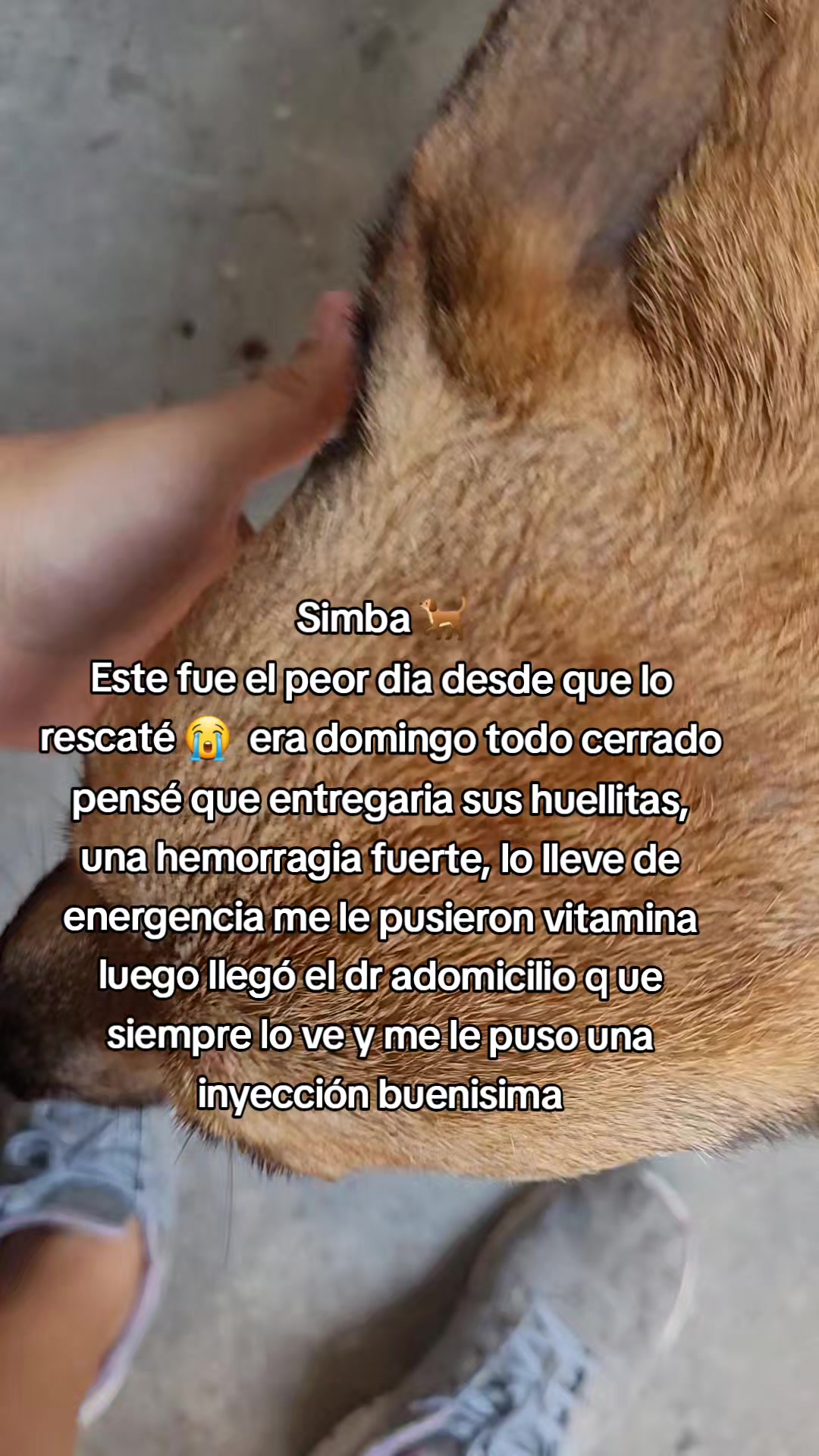 @𝕃𝕚𝕤𝕤 ℝ𝕖yes🇸🇻