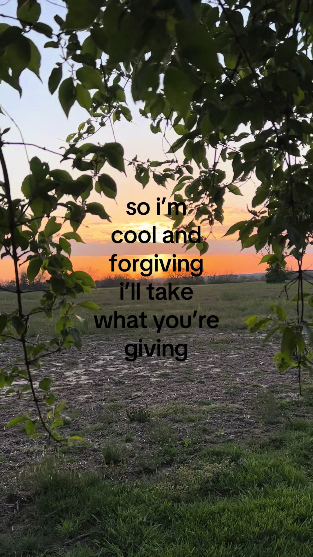 @madeline ౨ৎ