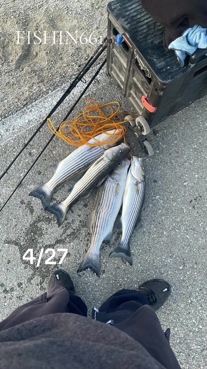 @kernfishing661_