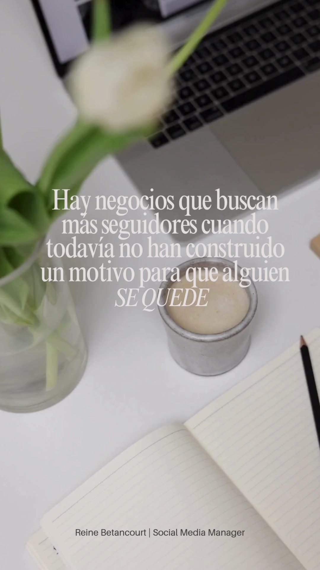 @Reine | Social Media Manager