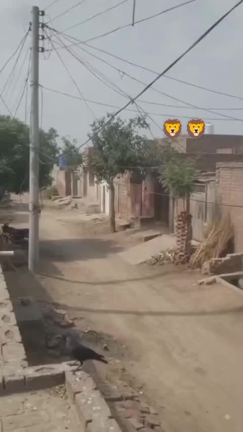 @804•