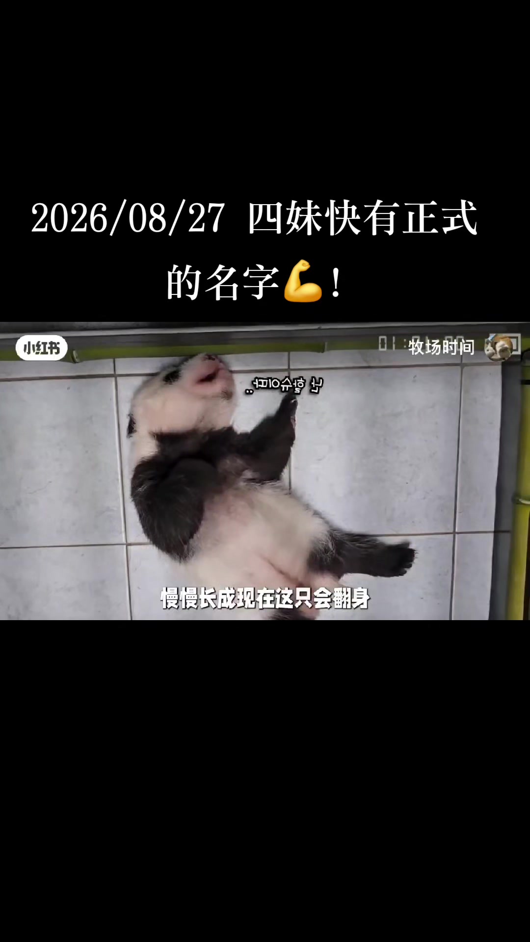 @福寶需要愛的抱抱
