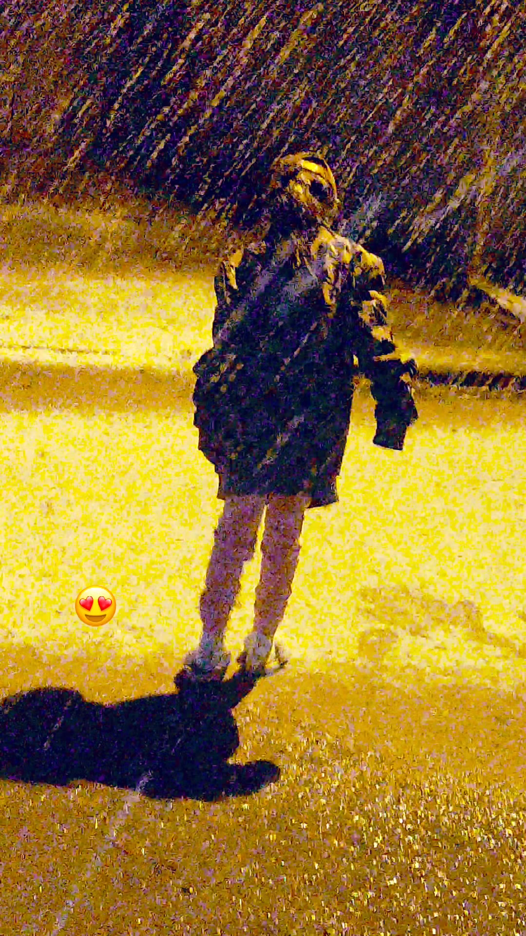 @&Aring;nis L'C&oslash;D