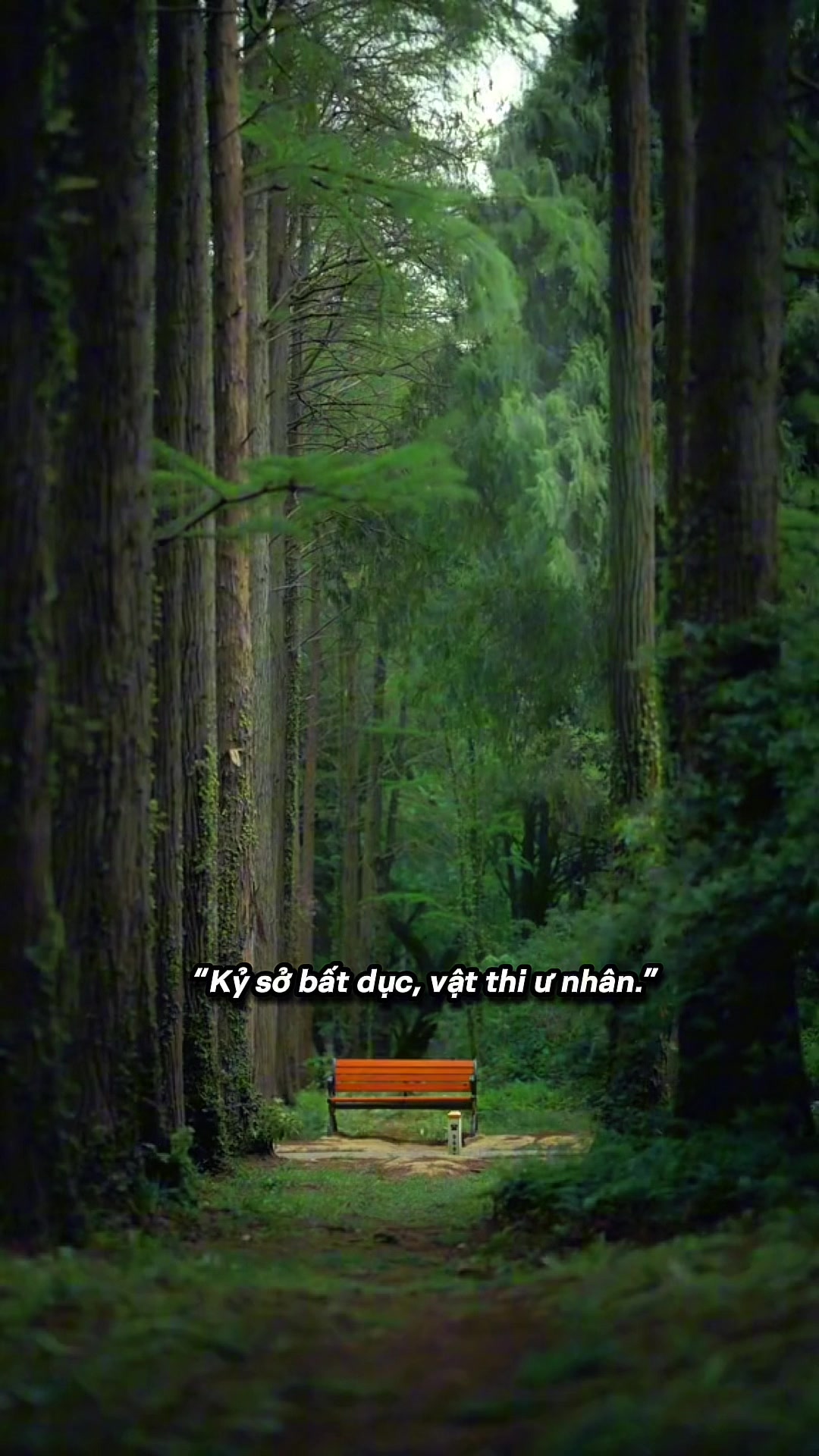 @Ninh Cát