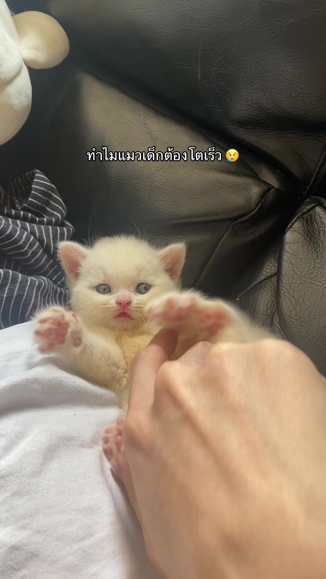 @น้องกล้วยกะป้อกล็อค