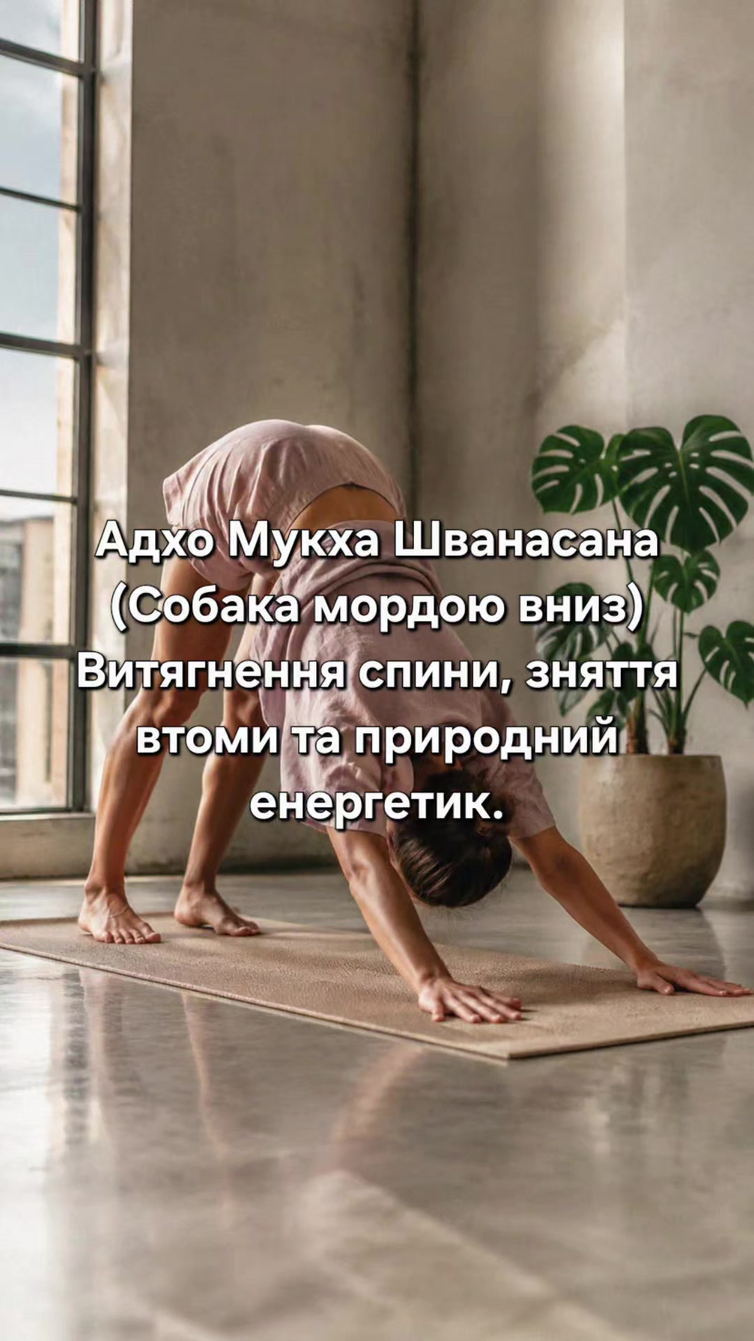 @sonma.life