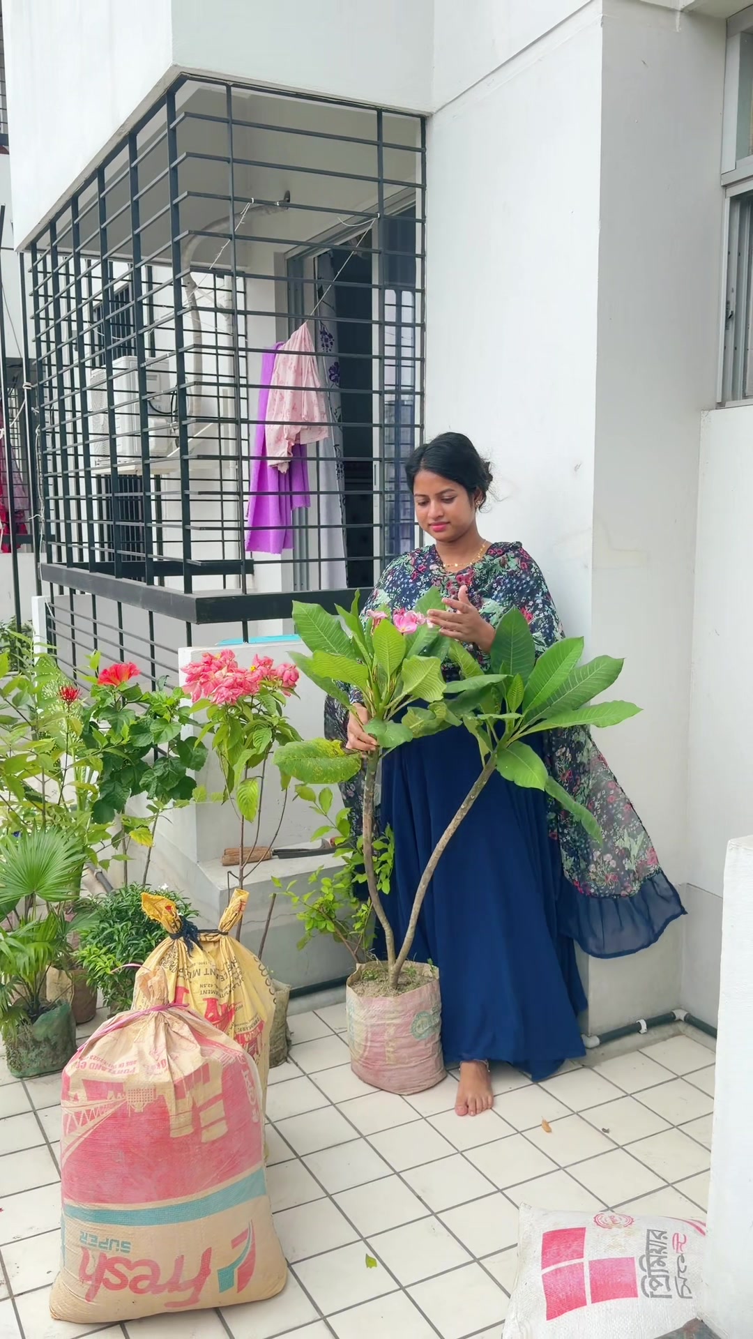 @🌸🍁পুচুর মা🍁🌸
