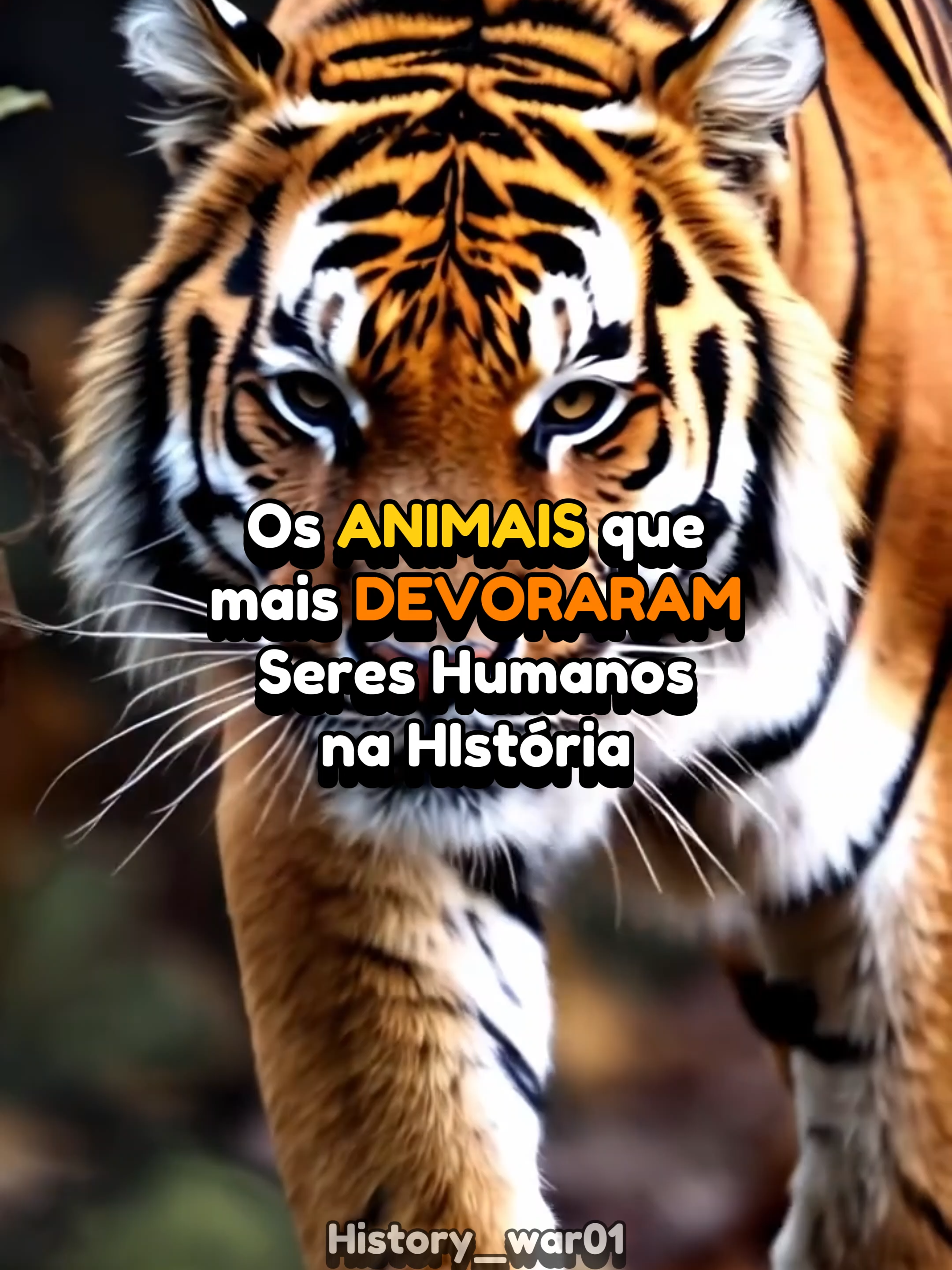 @History War