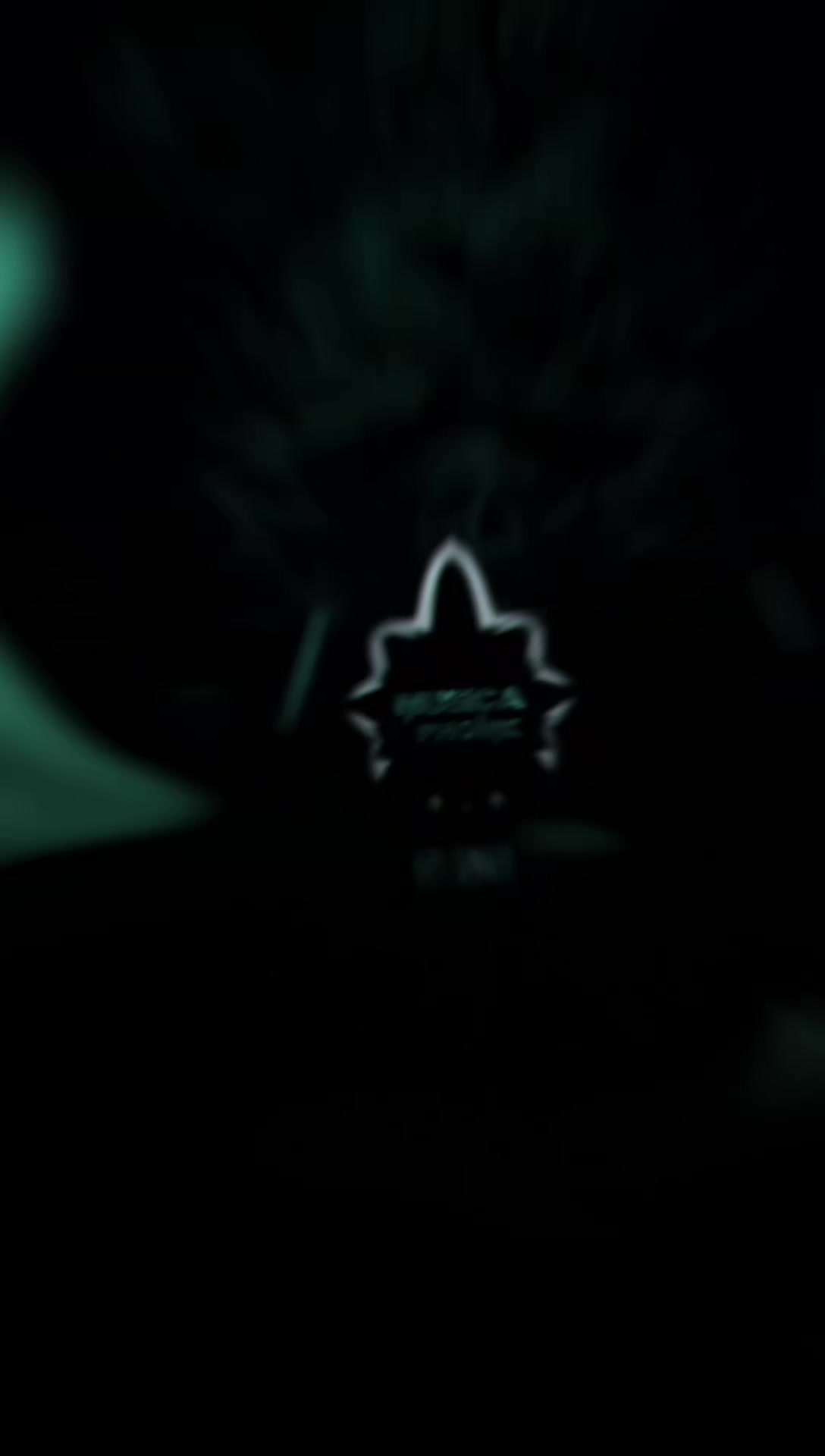 @𝐌𝐮𝐬𝐢𝐜𝐚 | 𝐏𝐡𝐨𝐧𝐤