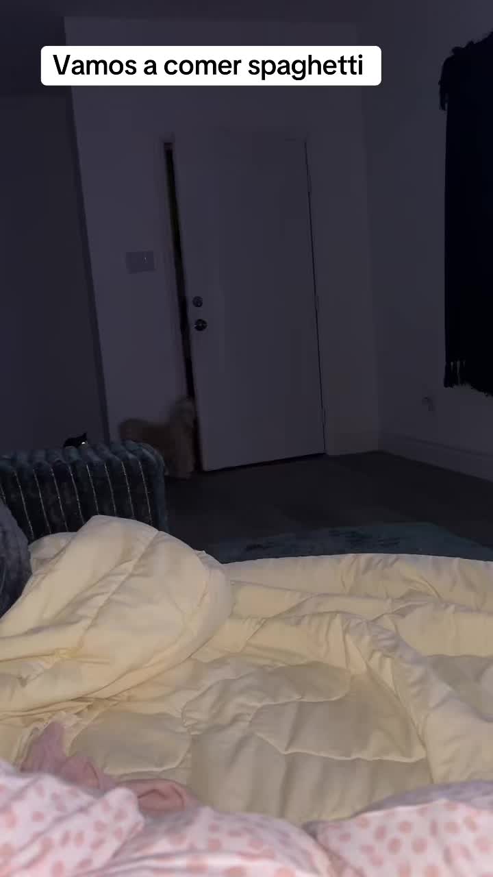 @lalalopez