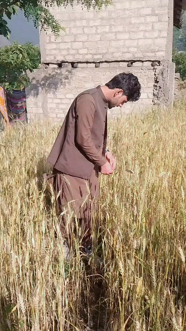 @GOHAR Ali 💞CM💞