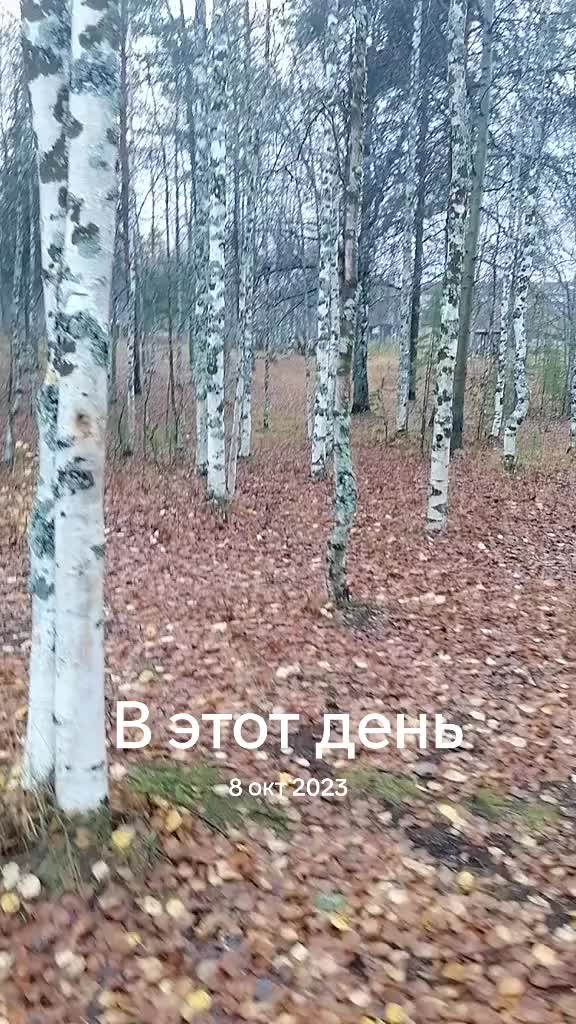 @Lenochka