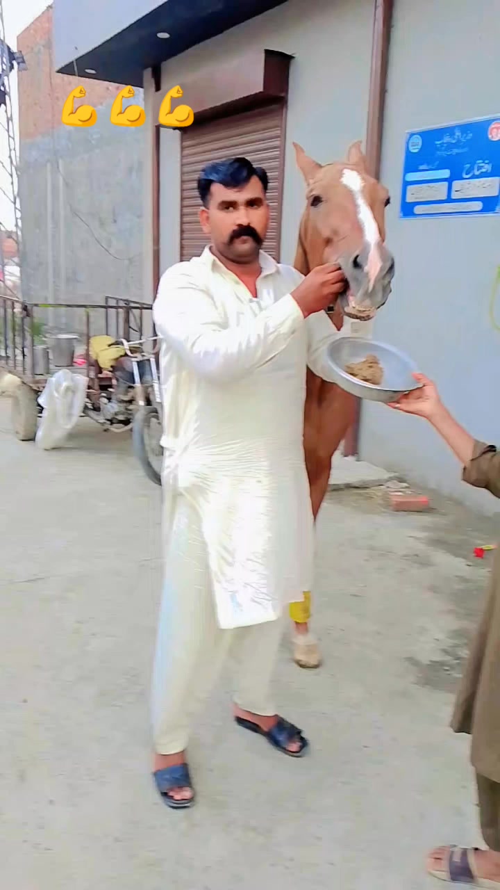 @Sajjad Ali 🐴🐴🐎