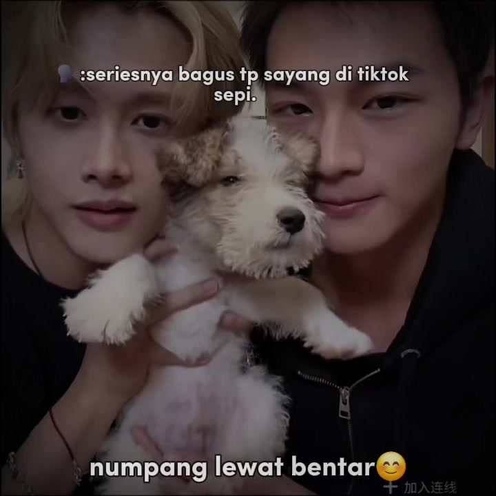 @LIN🍒