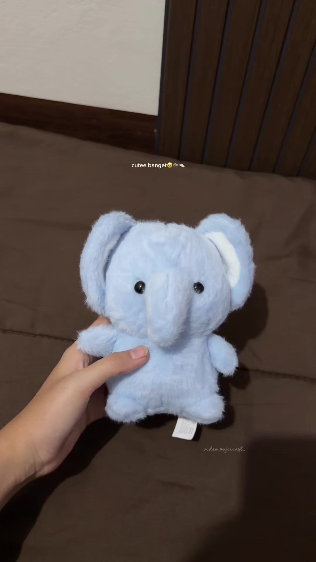 @pujiiiast_