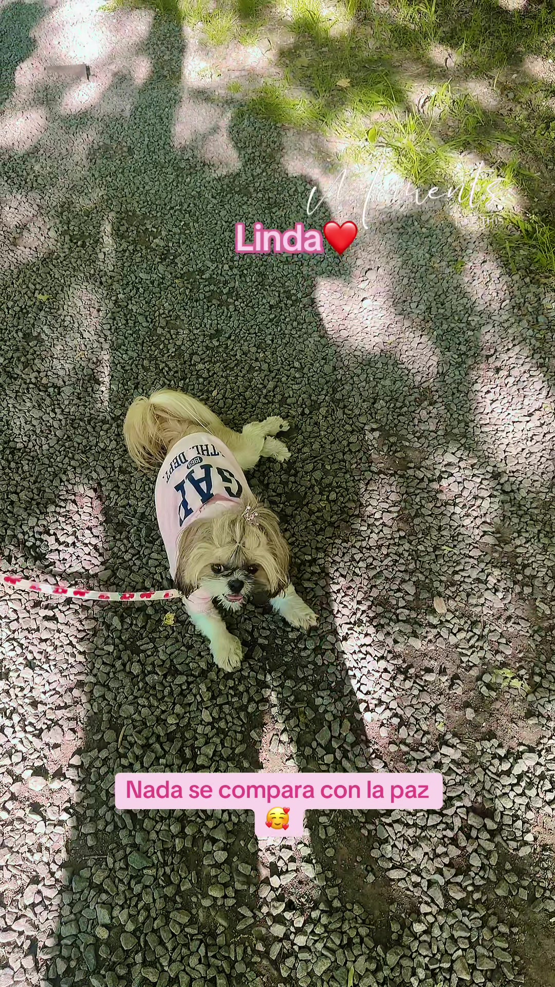 @Fernandita Linda
