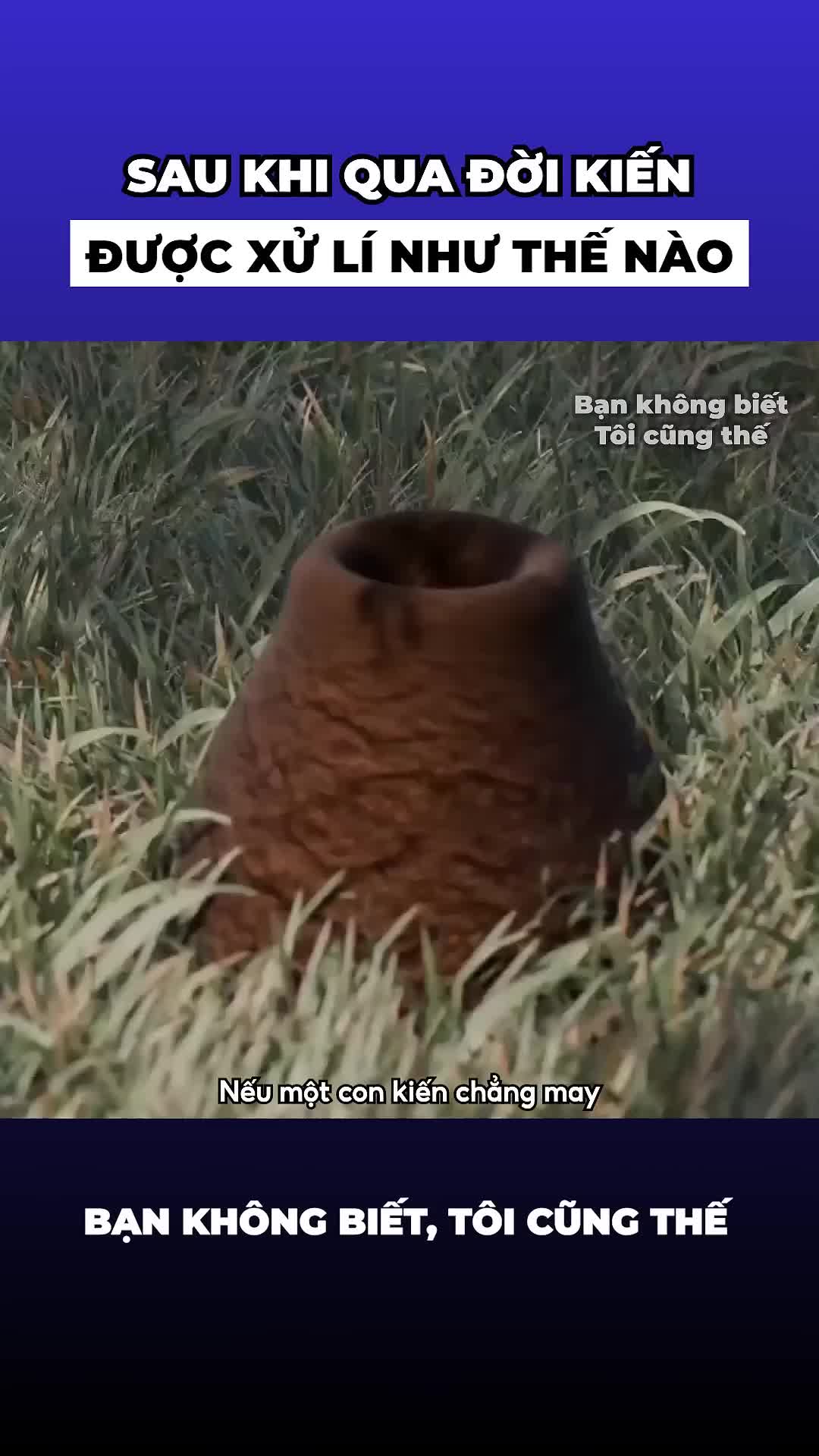 @Nghĩa Trương2495
