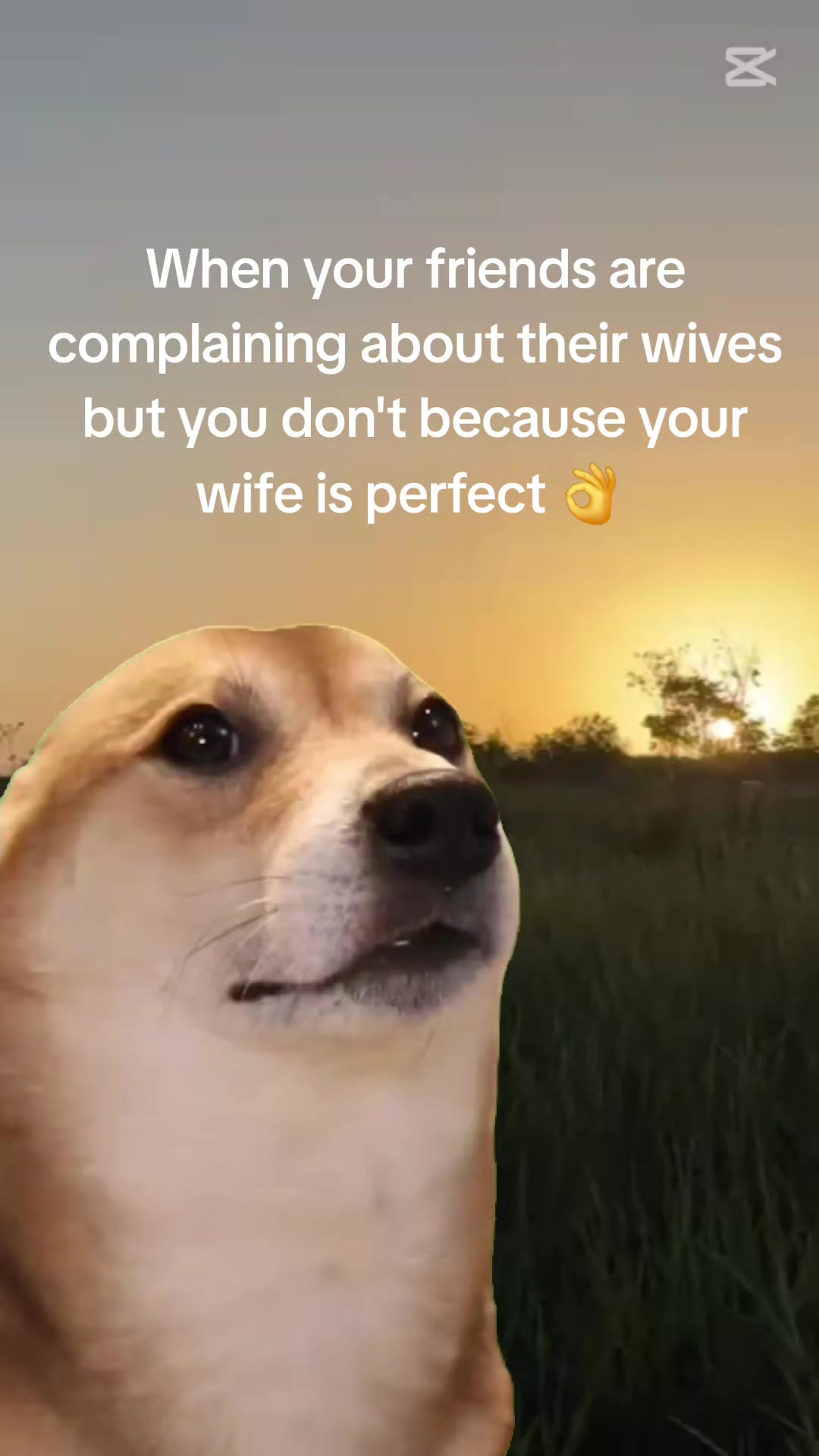 @The_Sheriff
