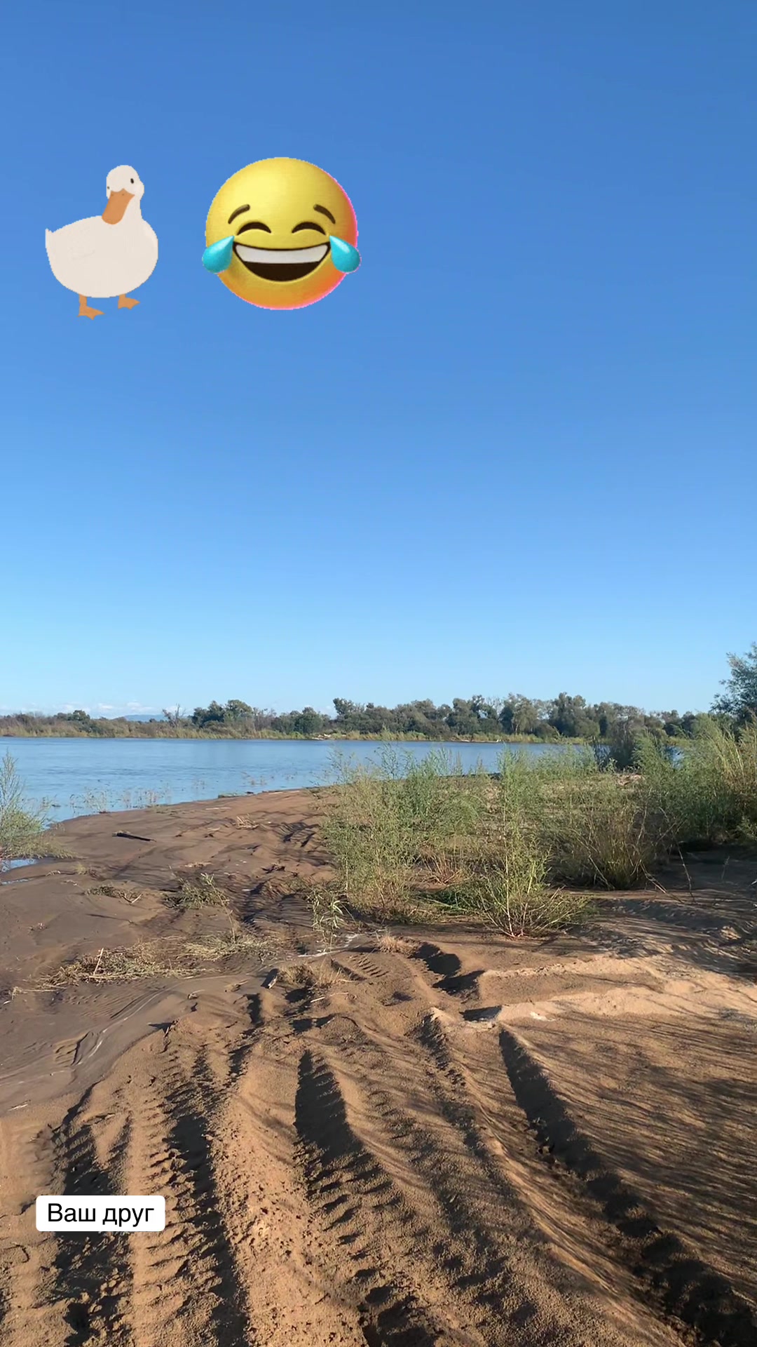 @Сергеевич_209