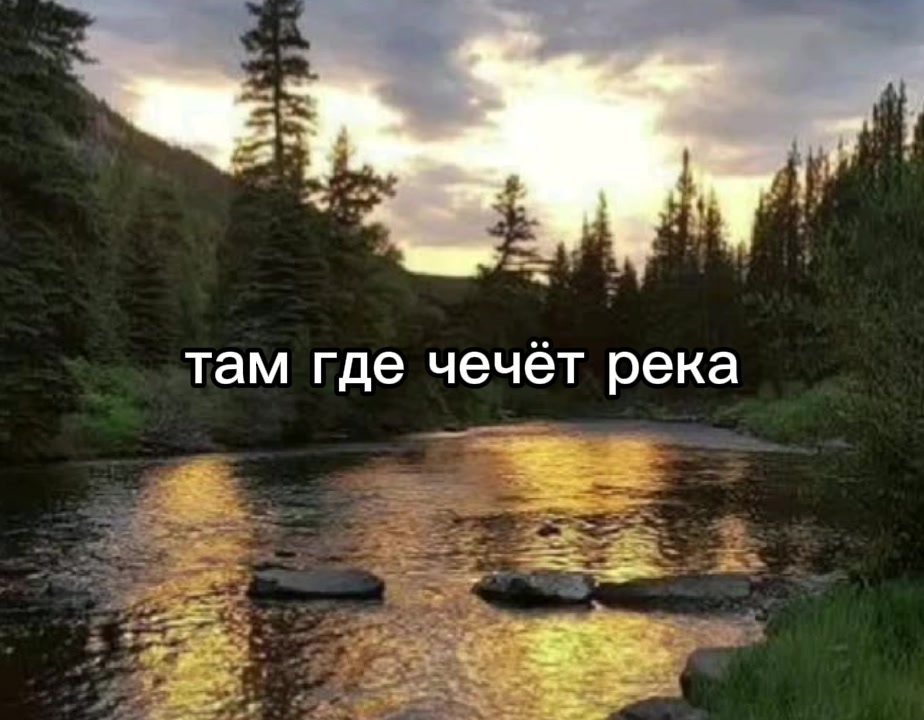 @TCO