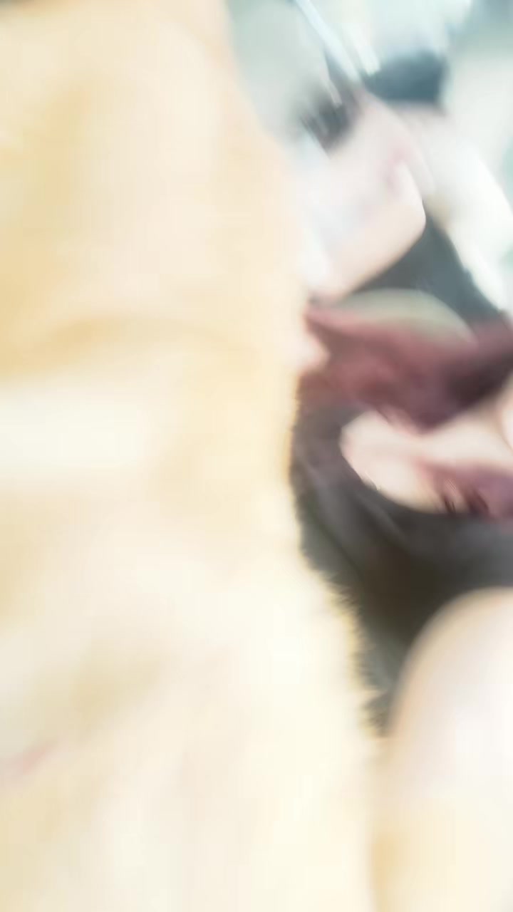 @𝓜