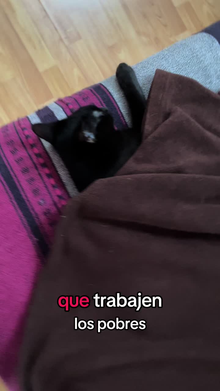 @Michis