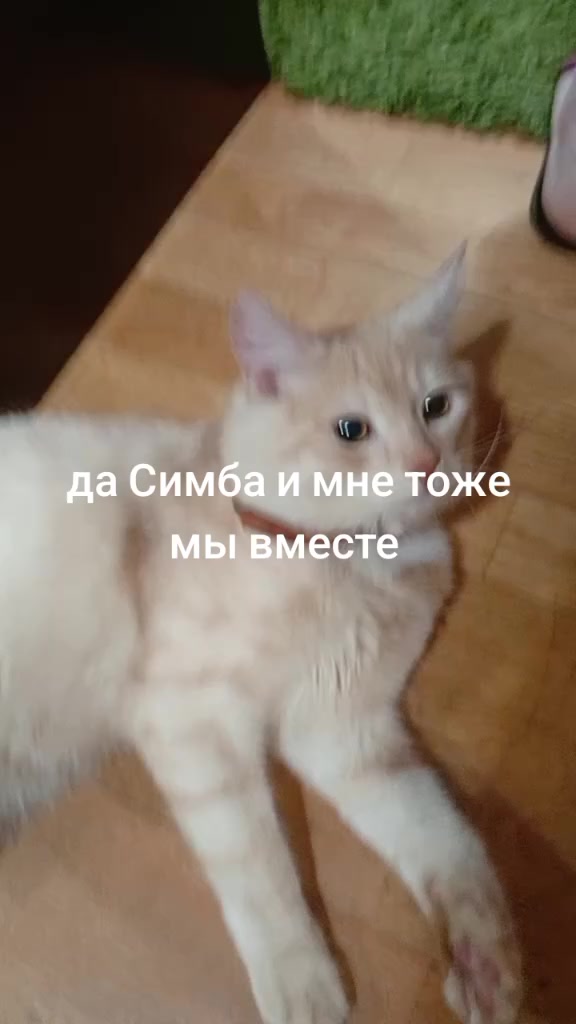 @антон азуевский