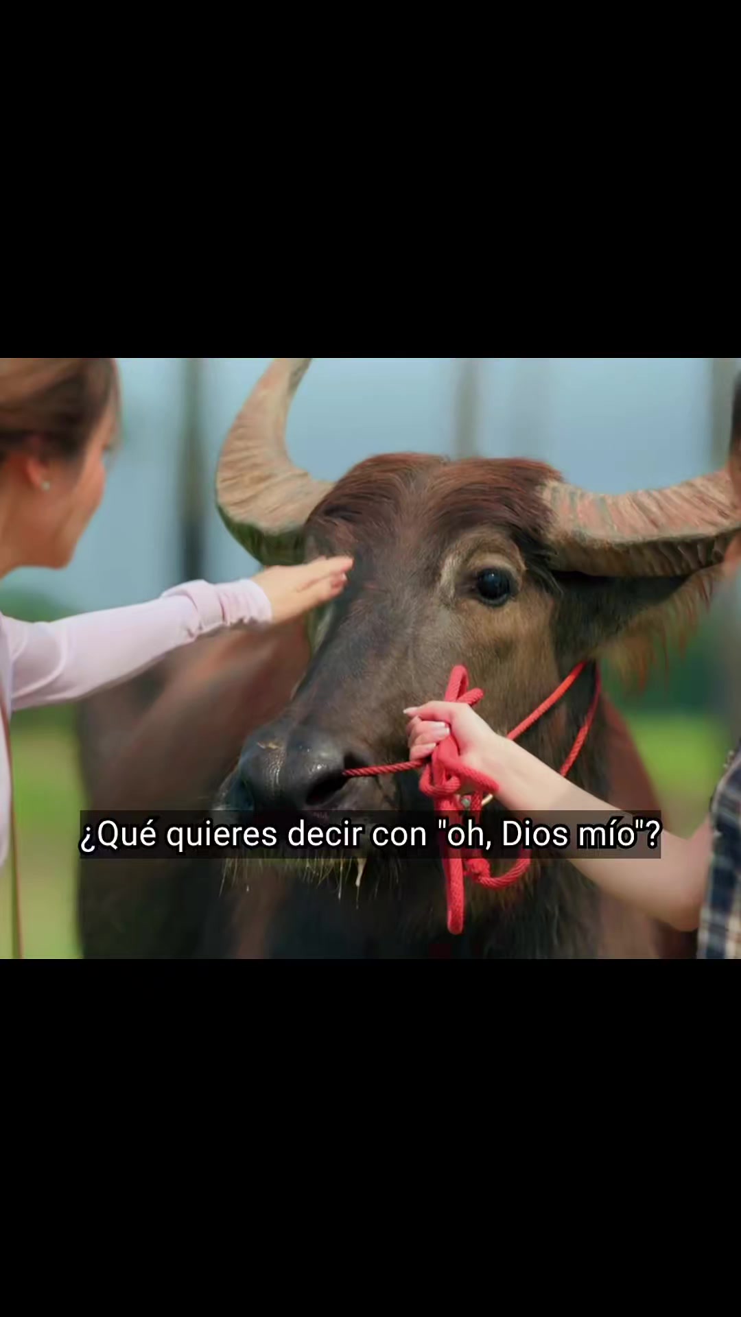 @Zuley