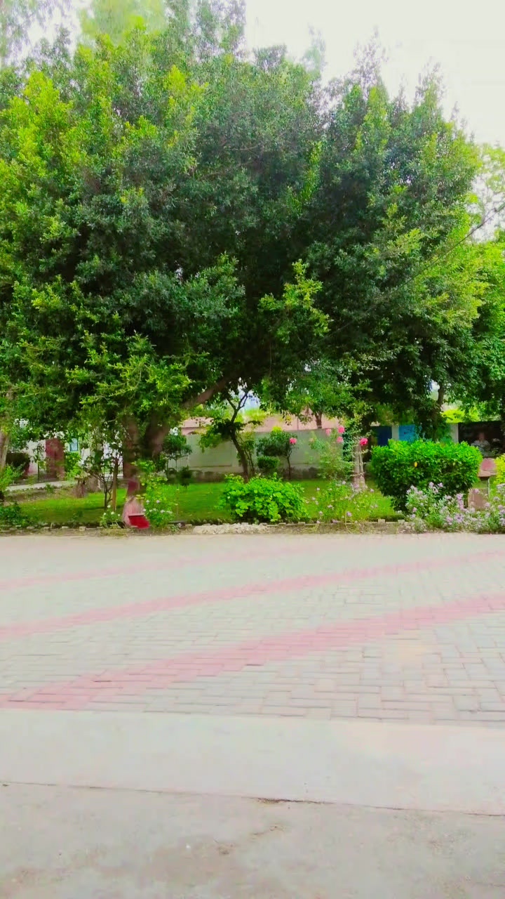 @QamaR Abbas Haral