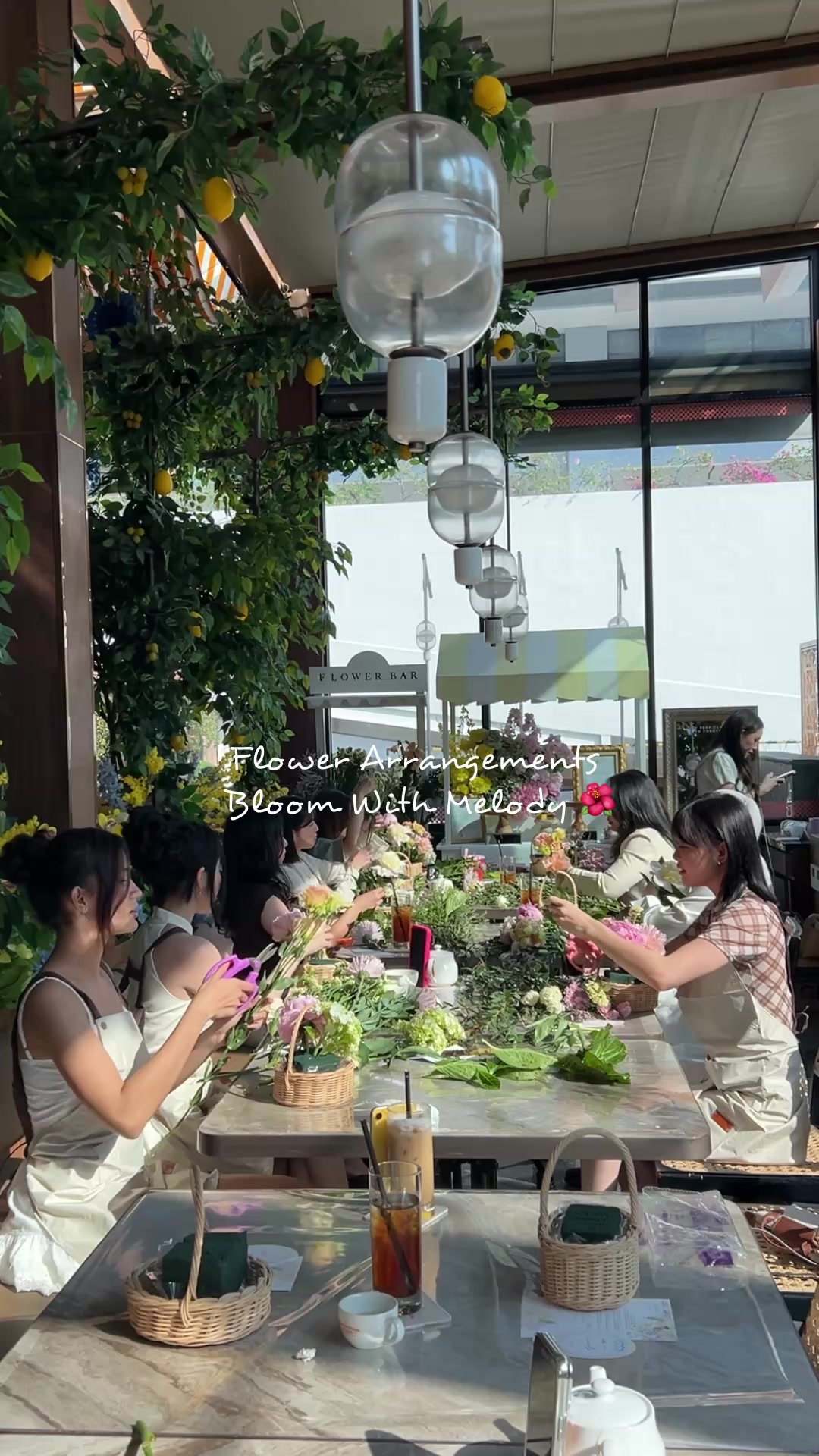 @Haruka Nakagawa🇯🇵🇮🇩