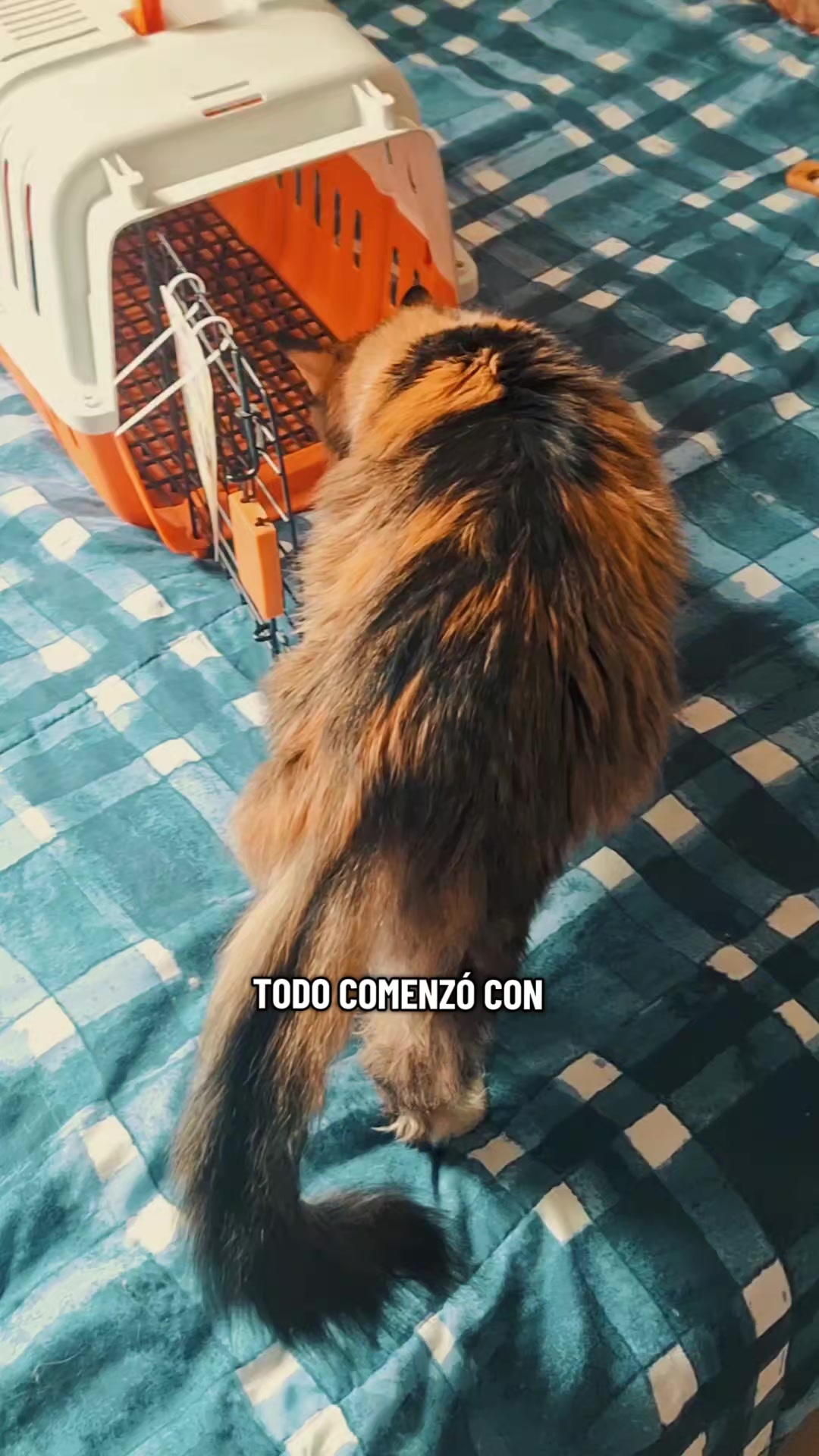 @Karen Macho