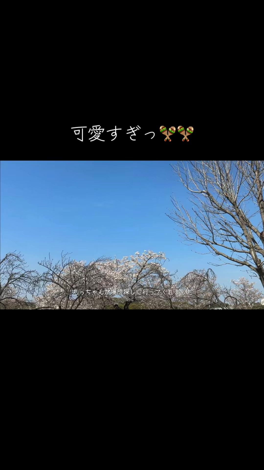 @たいせい🦍