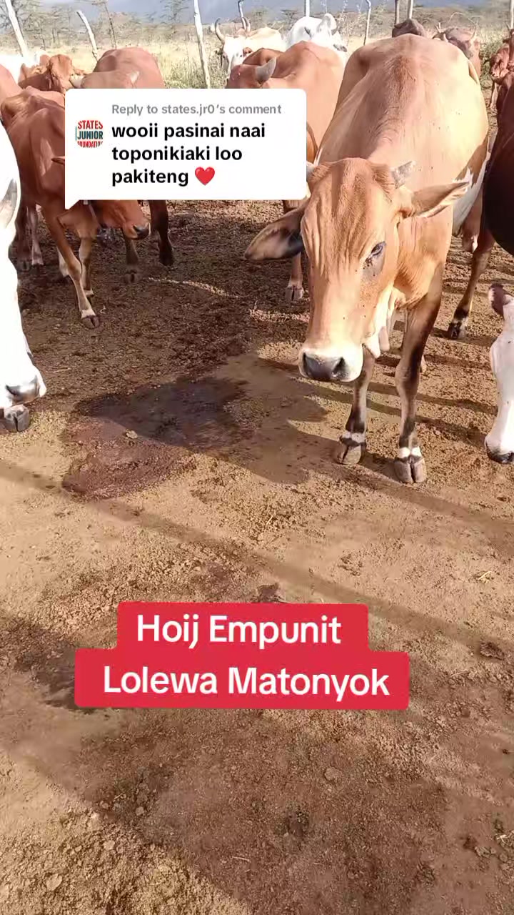 @Enkerai Ornyangusi