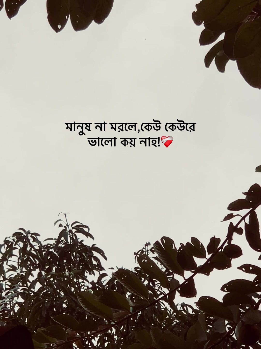 @Jit Baiddyađ§