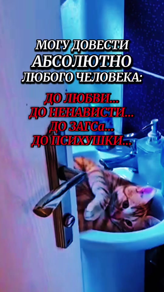 @Хулиганка на авто