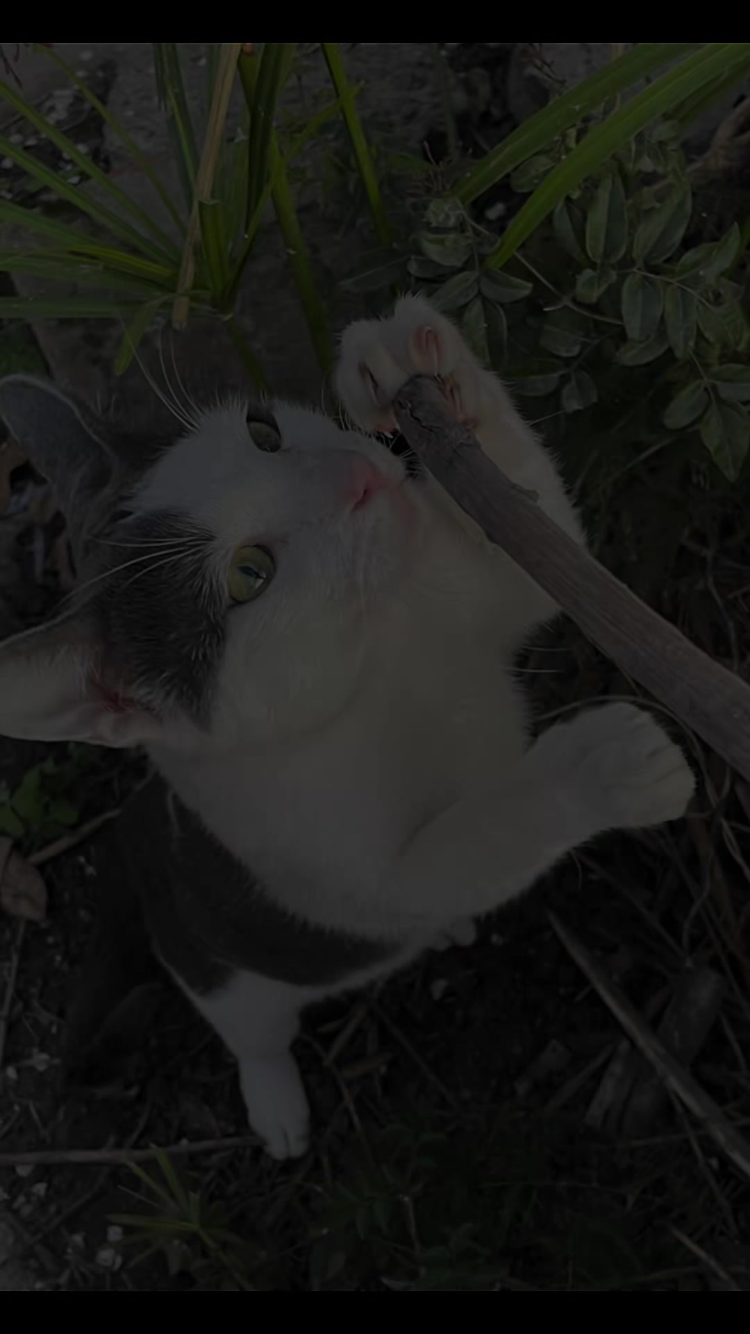 @โ๐ฆ๐๐๐๐ฃ๐12_20๐