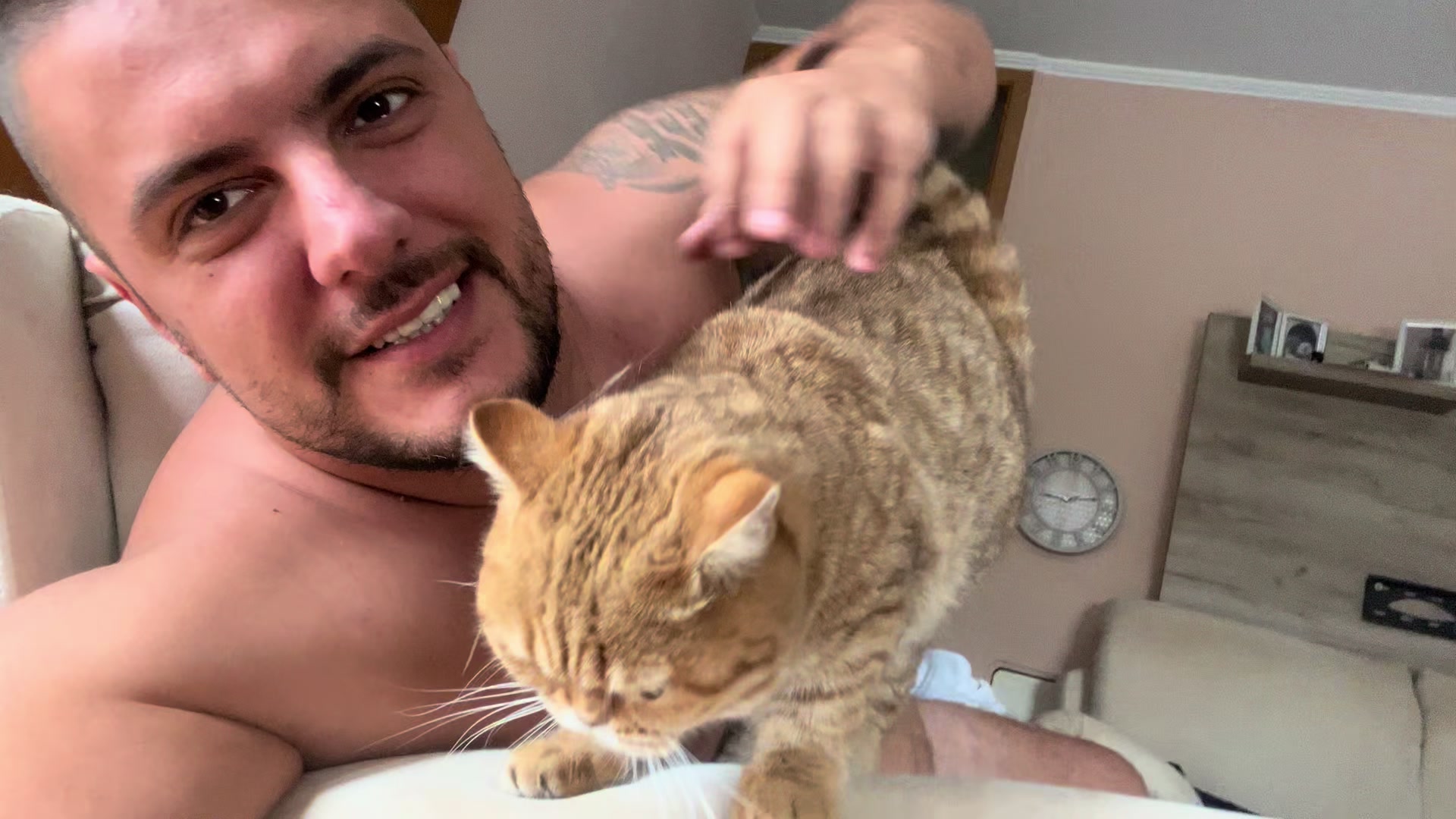 @British Cat Frendi 🐈